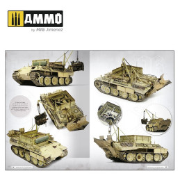Panthers Modeling the TAKOM Family 6270 AMMO by Mig English
