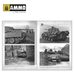 Panthers Construire la Gamme TAKOM 6272 AMMO by Mig French